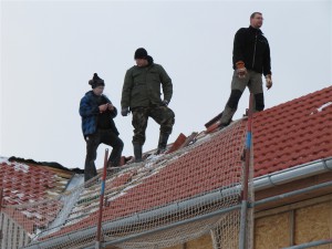 638638a06292c2011_halle16.jpg